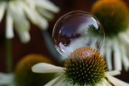 澳门娱乐场平台的未来发展趋势与市场前景分析