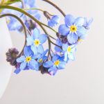 澳门威尼斯人娱乐的历史与发展:从赌场到综合度假村 6vu2h1tg5