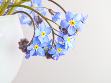 澳门威尼斯人娱乐的历史与发展：从赌场到综合度假村