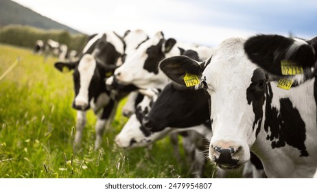 6十开奖号最新公布结果与中奖号码查询