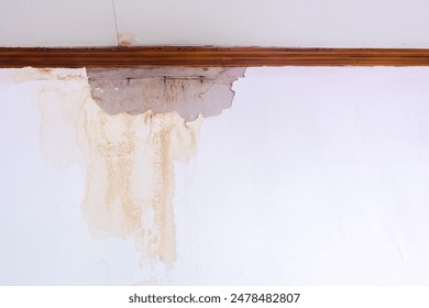 69077期最新开奖记录查询与历史数据分析