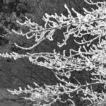 NBA在线免费直播:畅享高清篮球赛事全程 m4egg8wrh