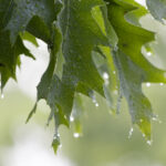 NBA前线直播:巅峰对决,实时赛况一触即发! pwe9jw7ly