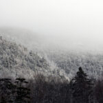 NBA全场高清直播回放,精彩赛事不容错过 w64zbn